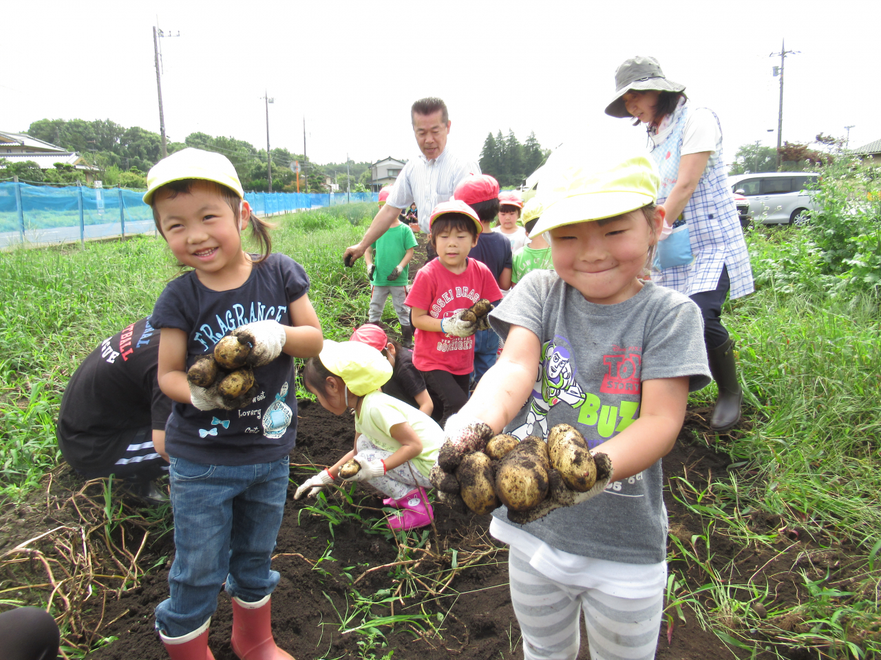 ７月じゃがいも堀